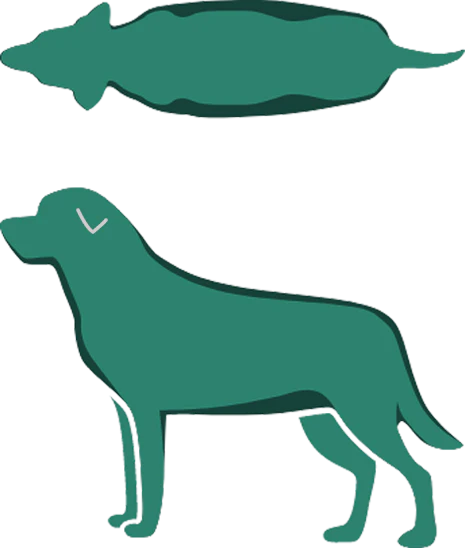 Dog Icon