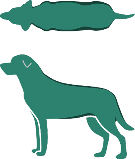 Dog Icon