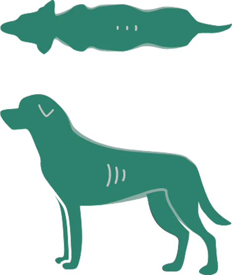 Dog Icon