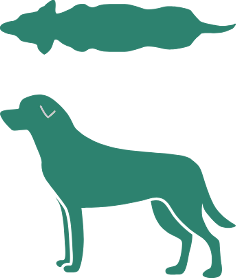 Dog Icon