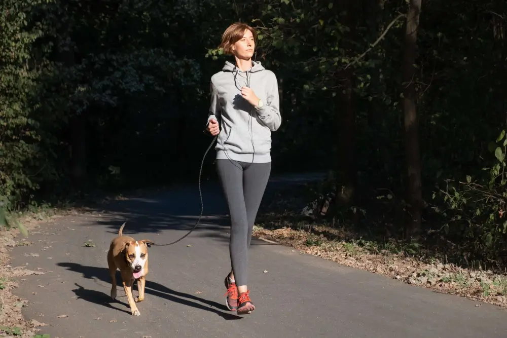 Exercising with your dog?  Top tips for warm-ups.