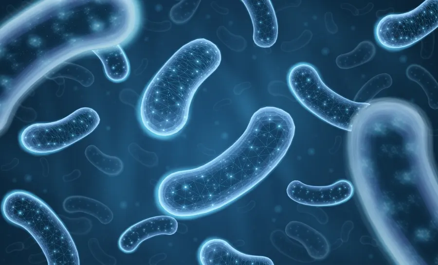 What is a microbiome?