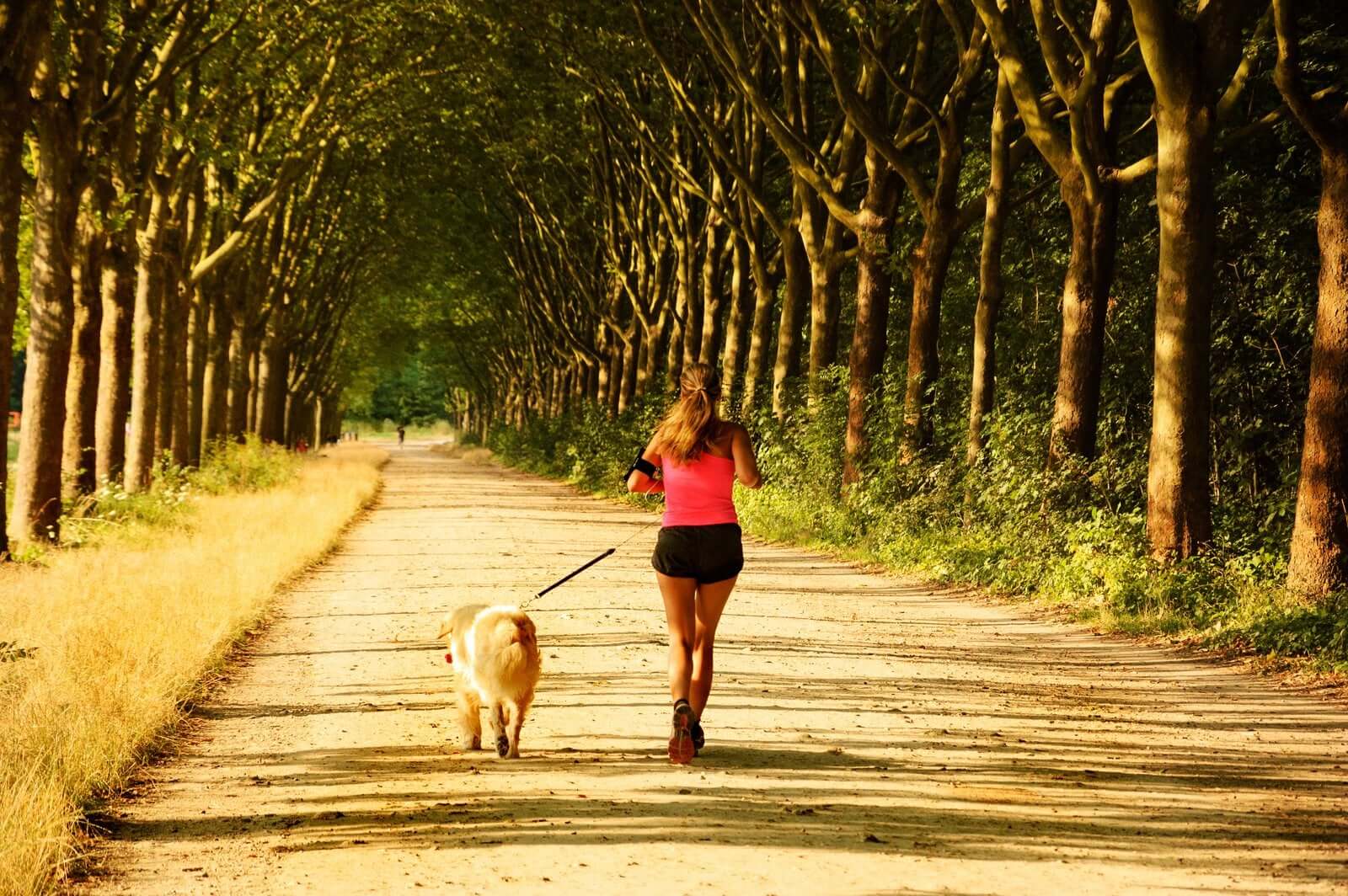 6 Things You Need To Know About Running With Your Dog