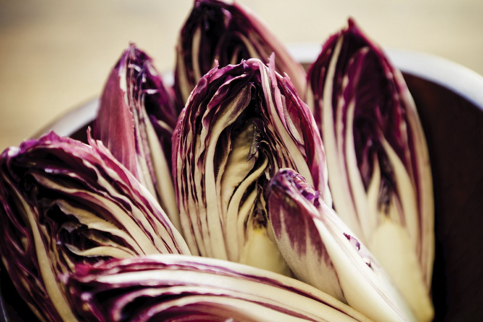 Benefits of chicory for pet’s digestive health