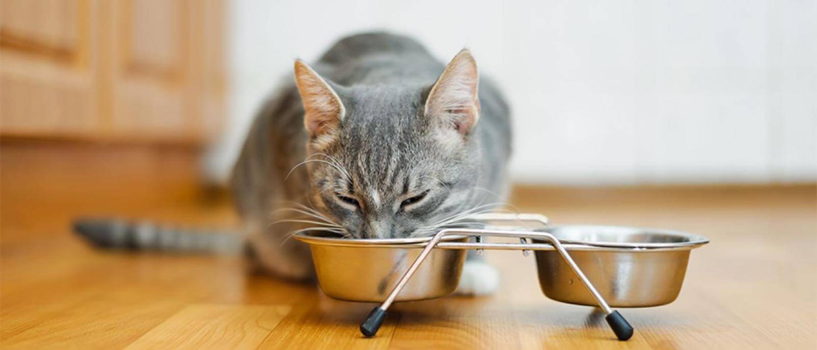 How do I work out the calories in pet food?