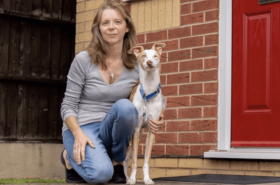 Best paw forward –  Hinckley rescue dog is a role model for canines improving mental health and wellbeing