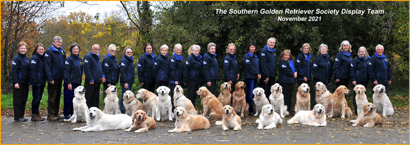 Meet the Golden Retriever Society Display team