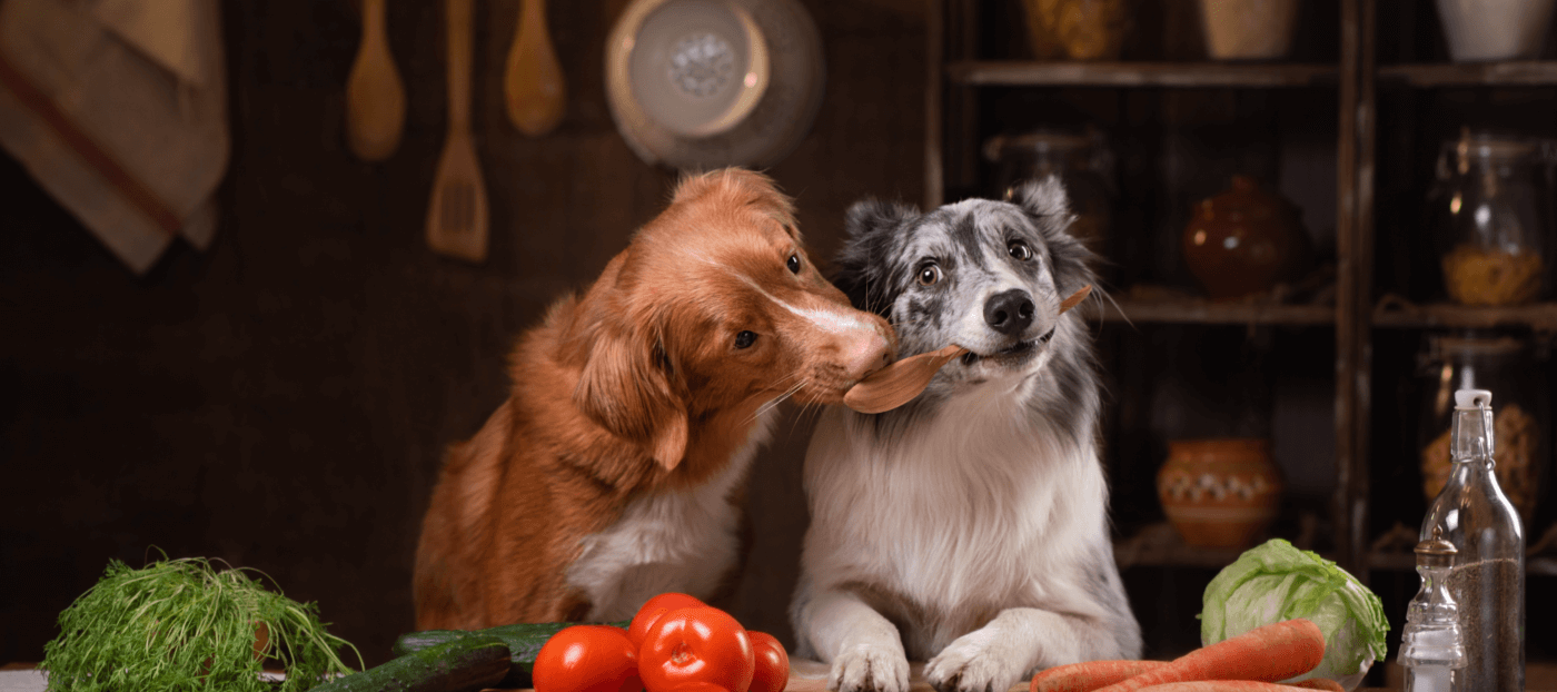 Choosing the right Vet’s Kitchen recipe for your dog