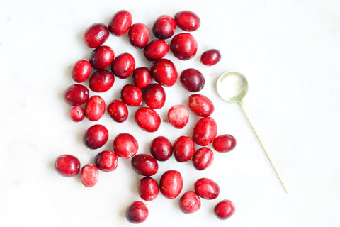 Are Cranberries safe to give to you pets?