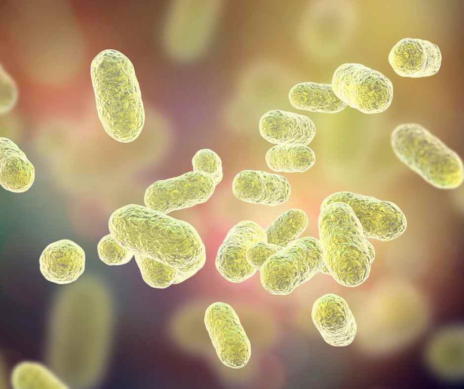 What is a microbiome?