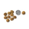 Sensitive Care Grain Free Dry Dog Food Salmon & Sweet Potato - Image 2