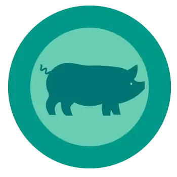 Pork